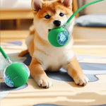 Bola Interativa Automática para Gatos com Cauda – Recarregável USB