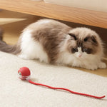 Bola Interativa Automática para Gatos com Cauda – Recarregável USB