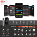 Termômetro Sem Fio para Carne e Defumador