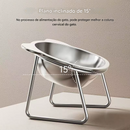 Comedouro Inclinado Inox para Pets